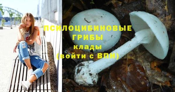 стаф Алексеевка