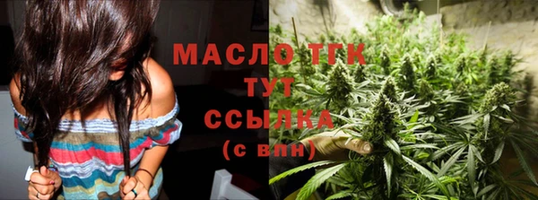 дмт Абаза