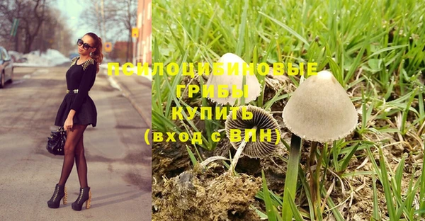 стаф Алексеевка