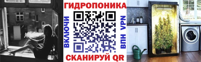 где купить Покачи Бошки марихуана THC 21%
